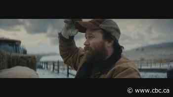 Ontario ad campaign 'It's Happening Here' has cost taxpayers $8M