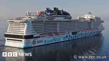 Passenger overboard from cruise ship, firm says