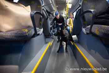 Vier reizigers met drugs en 80 zwartrijders betrapt op bussen