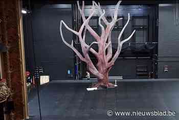 ‘Ombra’ gaat in wereldpremière in Antwerpen: decorstuk kan worden bezichtigd