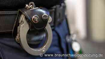 Polizei nimmt Kleintransporter-Dieb in Emmerstedt fest