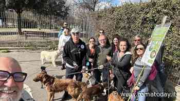 Non solo scritte sui muri e adesivi pubblicitari. A Roma arriva anche il “cacca retake”
