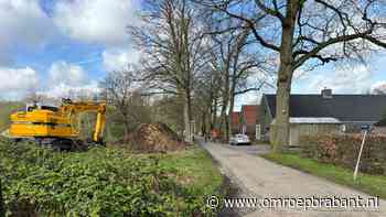 112-nieuws: gaslek in Velp • Tilburger aanhouden voor bankhelpdeskfraude