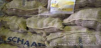 Europese landen trekken aan Nederlands pootgoed