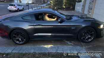 Dad buys cancer-stricken son a Mustang, Ford CEO Jim Farley helps him live for today