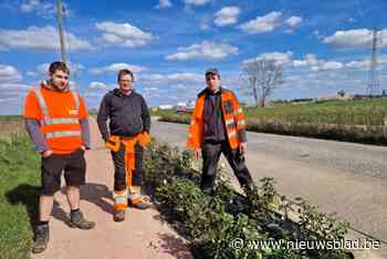 Pas geplante boompjes aan de Kumtichstraat gestolen