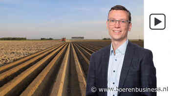 Geen navolging voor lagere prijs op aardappelmarkt