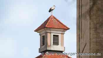 Uniklinik Ulm: Einzige Hebammenschule mit Storchennest schließt ihre Türen