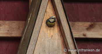 Landkreis Lichtenfels: Umweltstation lädt zu kostenlosem Vortragsabend ein