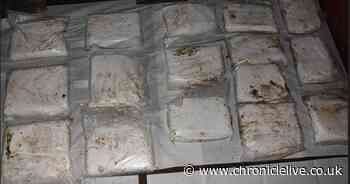 Over £1 million worth of drugs seized in South Tyneside raids along with more than £100,000 cash