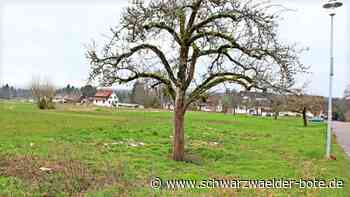 Gartenstraße Simmersfeld: Bevölkerungsentwicklung weckt Bedarf