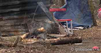 Charcoal burning in tent at Belle Park leads to suspected carbon monoxide poisonings: officials