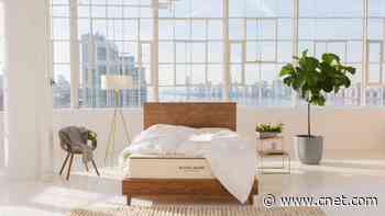 Best Organic Mattress for 2024     - CNET