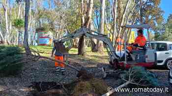 Monte Mario, partita la riqualificazione. Nel parco arriveranno 200 alberi