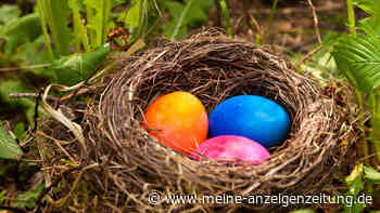 Osternest einfach und schnell selbst basteln: Diese Naturmaterialien helfen Ihnen dabei