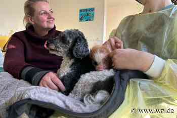 Wie Peppa Wutz und Feeli kranken Kindern helfen