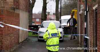 "I was scared for our lives" - Mum's terror as intruder hides in her back yard minutes after North Shields car stabbing