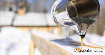 Sticky spot: Canada’s maple syrup production hits 5-year low, reserves sink