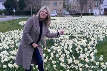 N-VA vraagt schepen om minder bloembollen te kopen: “300.000 euro, dat is geen kattenpis”