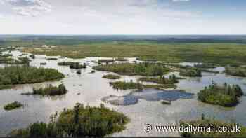 New titanium mine just 3 miles miles from Georgia wildlife refuge center sparks outrage among locals who fear project will wreak havoc on iconic blackwater swamp