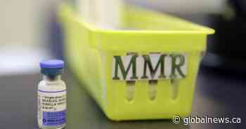 Alberta pharmacists ask for provincial rule change to help deliver measles vaccines
