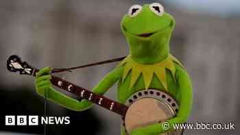 Kermit the Frog honoured in new fossil find
