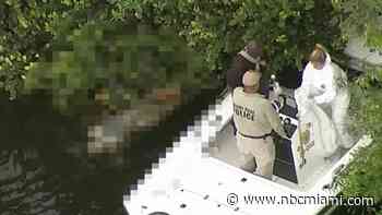 Decomposing body pulled out of Miami Springs canal