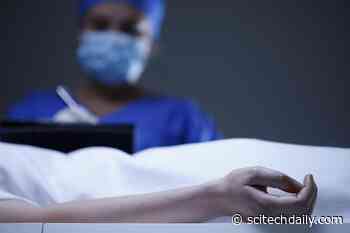 A Troubling Trend: US Adults Face Higher Death Rates Than Other Wealthy Nations