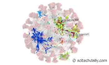 Mathematicians Use AI and New Clustering Algorithm To Identify Emerging COVID-19 Variants
