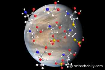 Life on Venus? MIT’s “Absolutely Surprising” Discovery of Amino Acid Stability