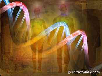Becoming Human: What Ancient DNA Tells Us About Who We Are