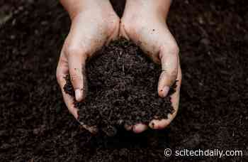 Challenging Long-Standing Climate Assumptions: Earth Is Getting Hotter, but Soil Is Getting Wetter
