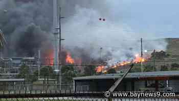 Large brush fire breaks out near Mosaic plant in Riverview