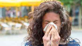 What to Know About Common Allergy Symptoms and What to Do About Them     - CNET
