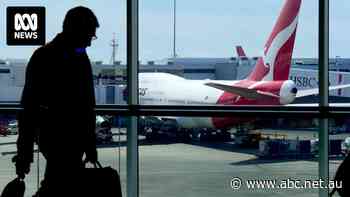 'Cost us more than fuel': Rex executive lashes airports over fees that can drive up prices