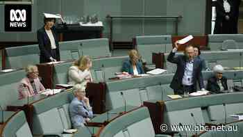 Greens condemn Labor's immigration legislation, Bowen announces new vehicle emissions standards, and a potato in parliament — as it happened