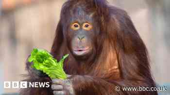 Quarry plan near historic Roman site is refused