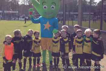 Duizend jeugdvoetballers strijden voor 42ste Kastelcup: “Het succes is ronduit verbijsterend”