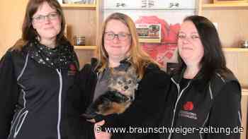 So funktioniert die Tierbestattung in Wahle