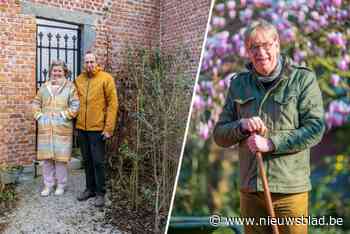 Wie heeft de mooiste voortuin van Puurs-Sint-Amands?: de winnaar ontvangt P-bon