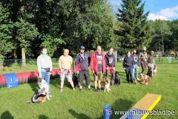 Hondenclub Brabo kan op militair terrein blijven