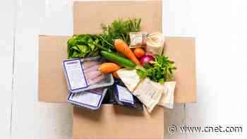 Cheapest Meal Delivery Services of 2024     - CNET