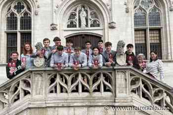 Digitaal stadsspel T-WOW laat iedereen Kortrijk op een gevarieerde manier ontdekken