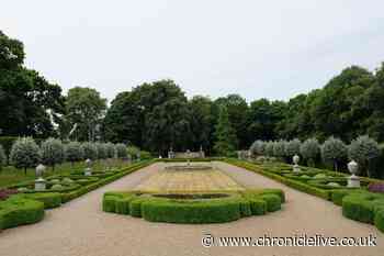 What you can do at North East National Trust sites with your children this Easter