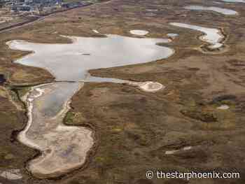 Saskatoon council to vote on budget surplus, freeway endorsement