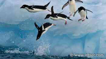 5 Linux file and folder management commands you need to know