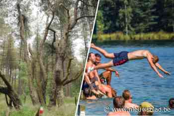 Toeristisch seizoen opent op De Lilse Bergen: “Domein heeft nieuw fietsonthaal en nieuwe speeltoestellen”