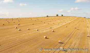 New scheme to ensure food production remains primary purpose of farming