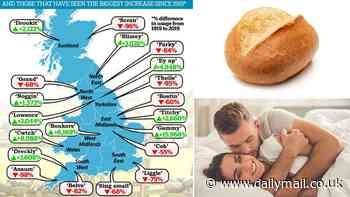 From 'cob' to 'scran': The regional words at risk of dying out in Britain, revealed - so, do you still use any of them?