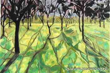 Solotentoonstelling van kunstenaar Leo Raes in Allierse kapel